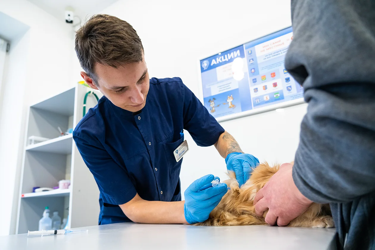 Скорая помощь для животных